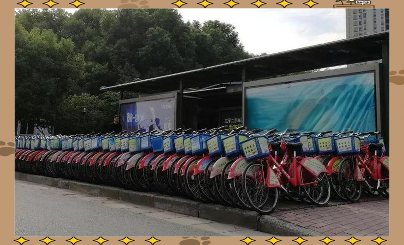杭州拓展公共自行车互通服务,实现跨区便捷骑行